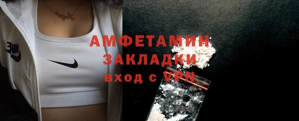 твердый Ладушкин