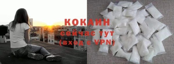 твердый Ладушкин