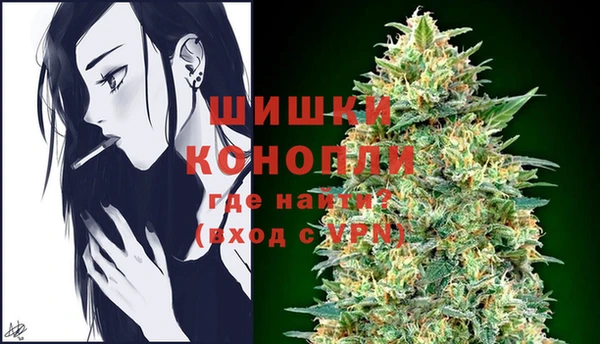 твердый Ладушкин