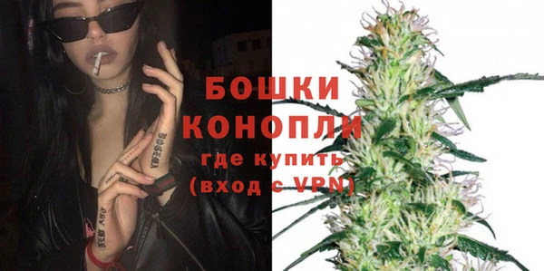 твердый Ладушкин
